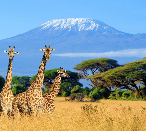 What Tanzania Is Best Known For