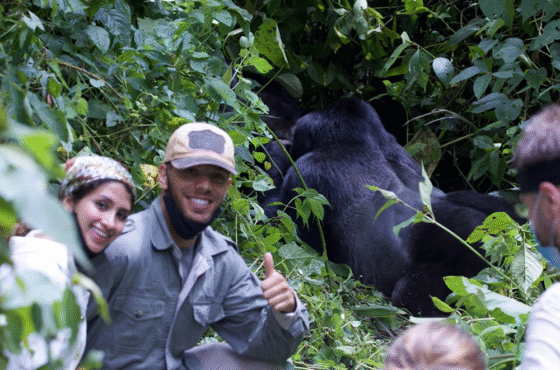 5 Day Budget Wildlife Gorilla Trekking Trip