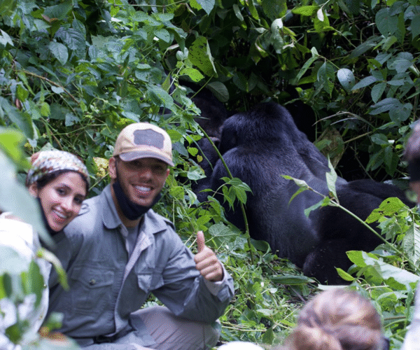 5 Day Budget Wildlife Gorilla Trekking Trip