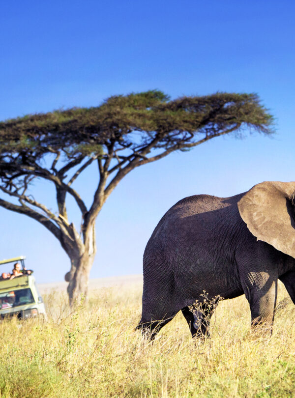 5 Day Thrilling Budget Safari In Uganda