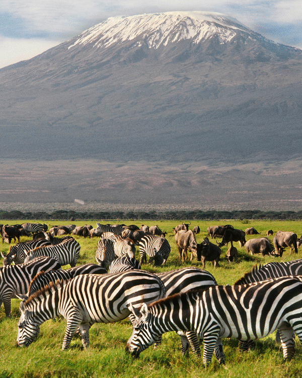 7-Day Kenya Magnificent Budget Tour