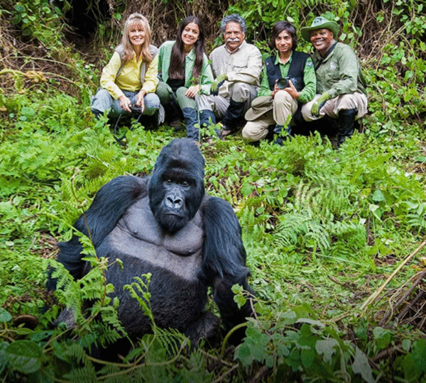 14 Day Budget Thrilling Safari