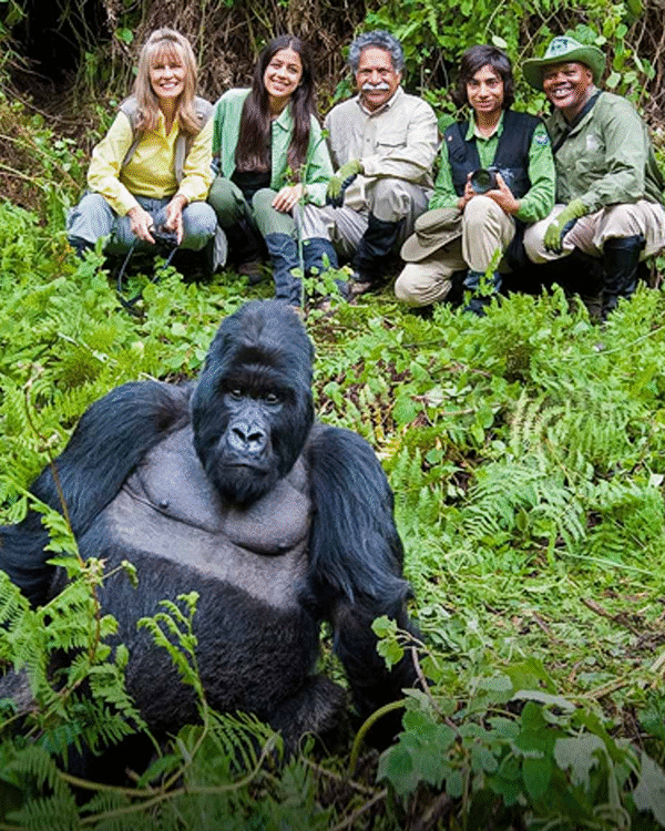 14 Day Budget Thrilling Safari