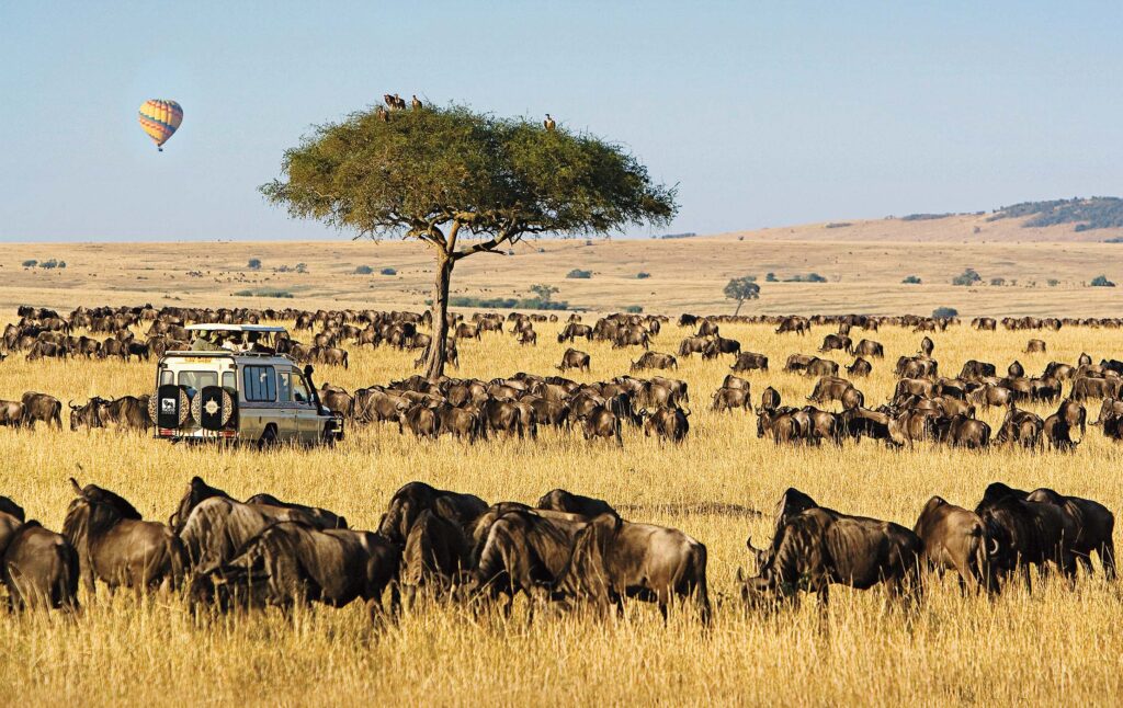 3-Day Lifetime Thrilling Maasai Mara Budget Tour