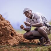 The Ultimate African Safari Tipping Guide