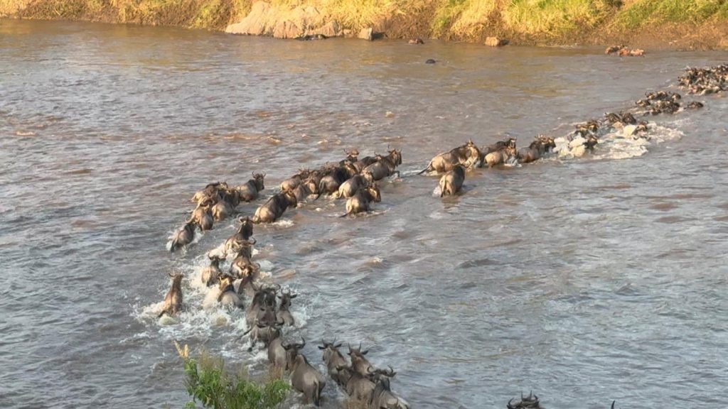32 Day Thrilling African Mid-Range Safari