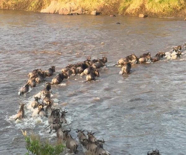 32 Day Thrilling African Mid-Range Safari