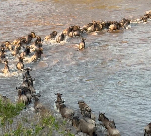 Top 32 Epic Iconic Tourist Attractions In East Africa