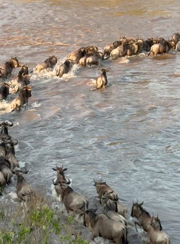 Top 32 Epic Iconic Tourist Attractions In East Africa