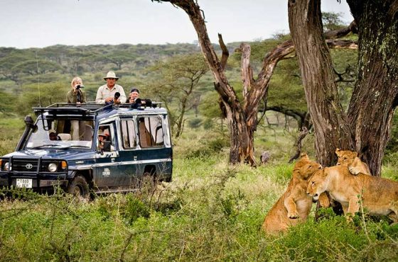 The Best Months To Visit East Africa