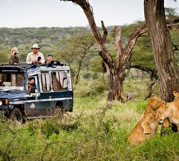 The Best Months To Visit East Africa