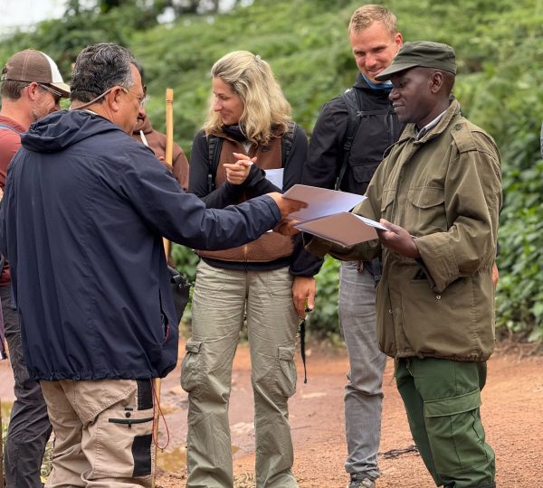 Kibale Budget Safaris & Tours