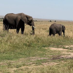 12-Day Uganda's Finest Tourism Destinations Budget Tour
