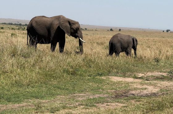 13 Day Budget Tour Of Uganda’s Top Tourist Attractions