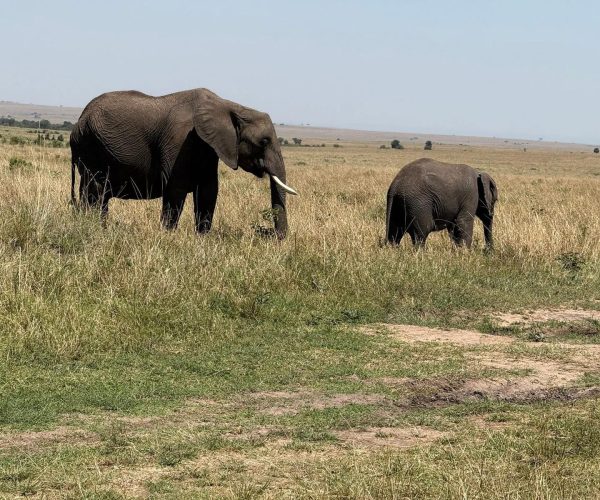 12-Day Uganda’s Finest Tourism Destinations Budget Tour