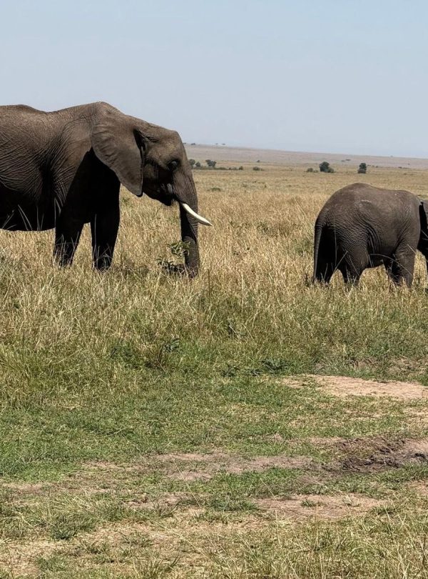 12-Day Uganda's Finest Tourism Destinations Budget Tour