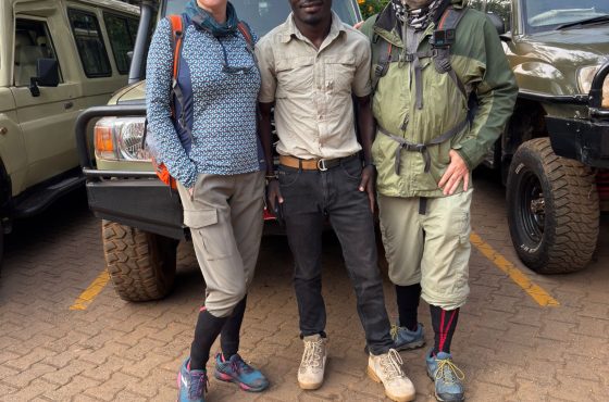 7-Day Amazing Luxury Gorilla And Chimpanzee Trekking Safari