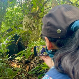 6 Days Uganda Primates Trekking Luxury Adventure