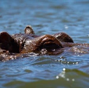 7-Day Kenya Magnificent Budget Tour