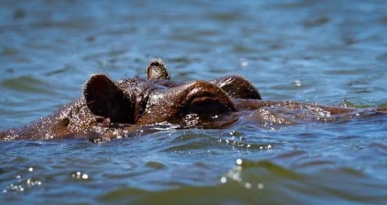7-Day Kenya Magnificent Budget Tour