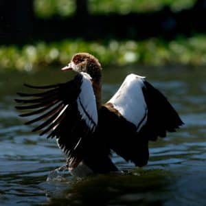 7-Day Kenya Magnificent Mid-Range Tour