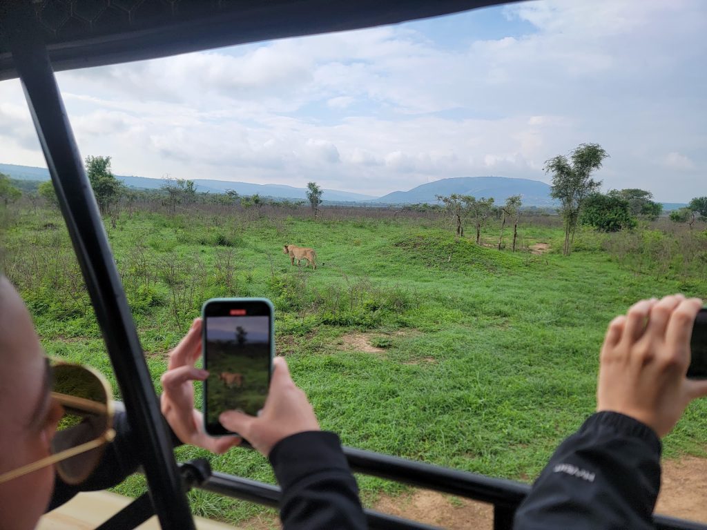 3-Day Luxury Thrilling Safari In Akagera