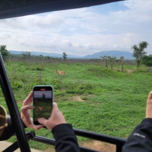 3-Day Luxury Thrilling Safari In Akagera