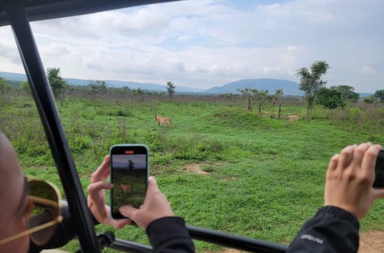 3-Day Luxury Thrilling Safari In Akagera