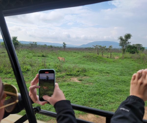 3-Day Luxury Thrilling Safari In Akagera