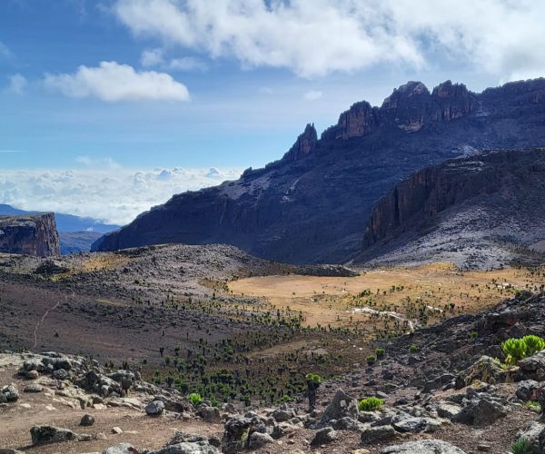 5-Day Mount Elgon Hiking Thrilling Tour