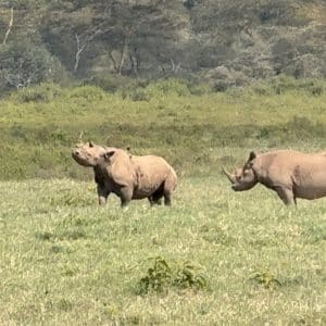 3-Day Spectacular Luxury Safari In Lake Nakuru National Park