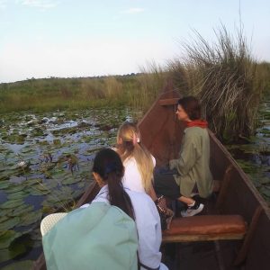 Shoebill birding Uganda