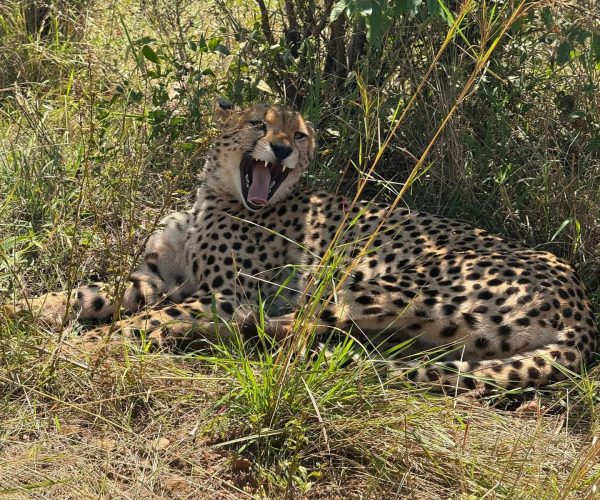 12-Day Uganda’s Finest Tourism Destinations Mid-Range Tour