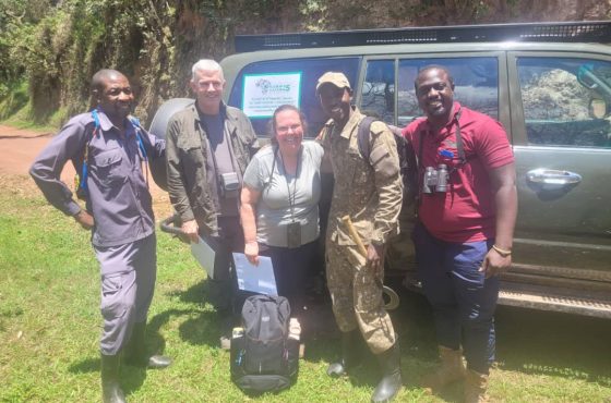 7-Day Amazing Mid-Range Gorilla And Chimpanzee Trekking Safari