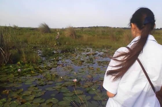 8-Day Shoebill Watching & Thrilling Budget Tour