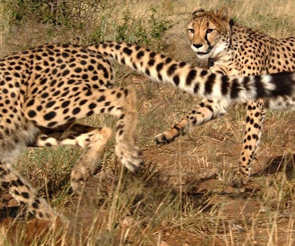 10-Day Epic Mid-Range Explore Namibia Guided Tour