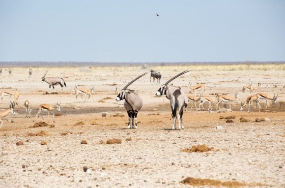 10-Day Epic Luxury Explore Namibia Guided Tour