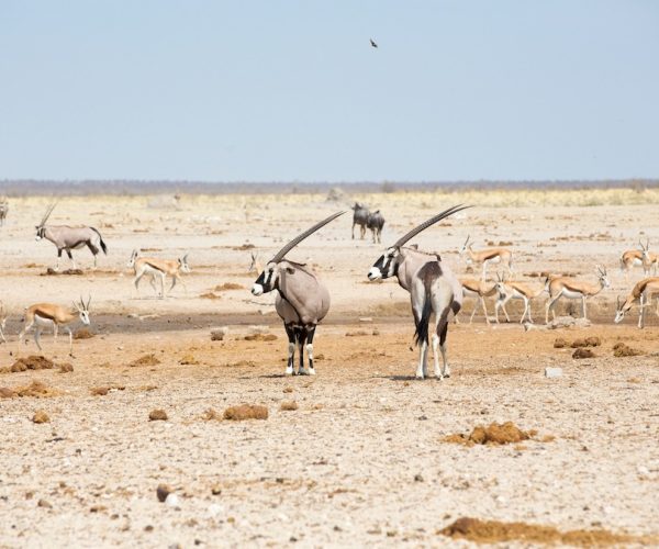 10-Day Epic Luxury Explore Namibia Guided Tour