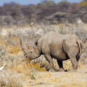 10-Day Epic Mid-Range Explore Namibia Guided Tour