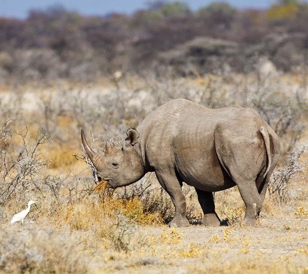 10-Day Epic Mid-Range Explore Namibia Guided Tour