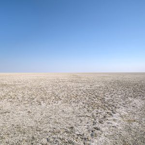 8-Day Breathtaking Self-Drive Tour In Namibia
