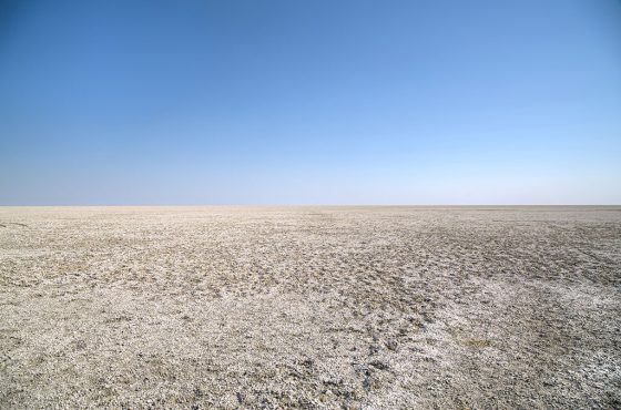 8-Day Breathtaking Self-Drive Tour In Namibia