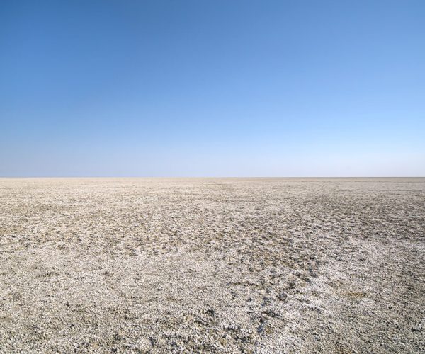 8-Day Breathtaking Self-Drive Tour In Namibia