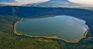 Ngorongoro