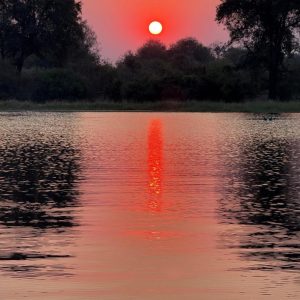 3-Day Thrilling Luxury Safari In Okavango Delta