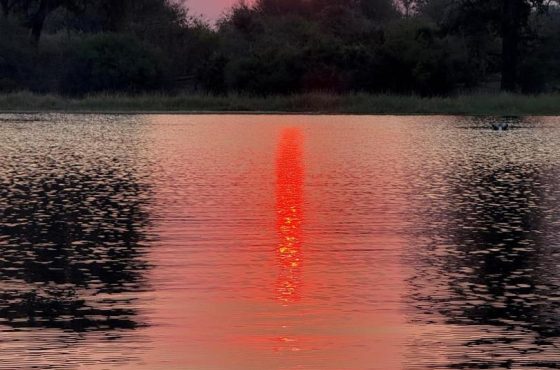 3-Day Thrilling Luxury Safari In Okavango Delta
