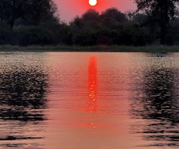 3-Day Thrilling Luxury Safari In Okavango Delta