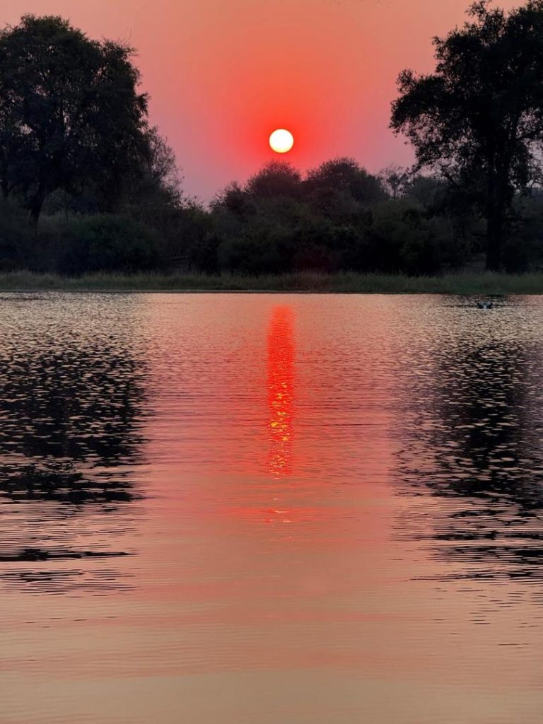 3-Day Thrilling Luxury Safari In Okavango Delta