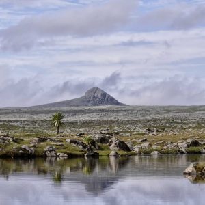 15-Day Wonders Of Ethiopia Luxury Tour