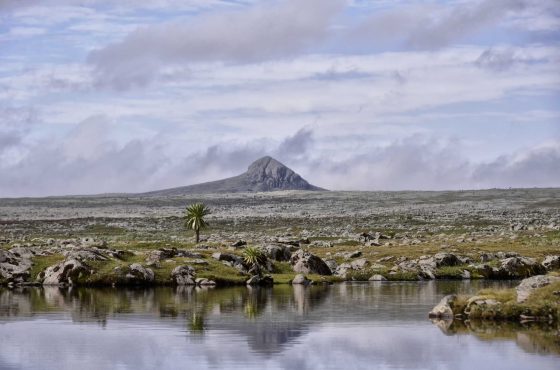 15-Day Wonders Of Ethiopia Luxury Tour